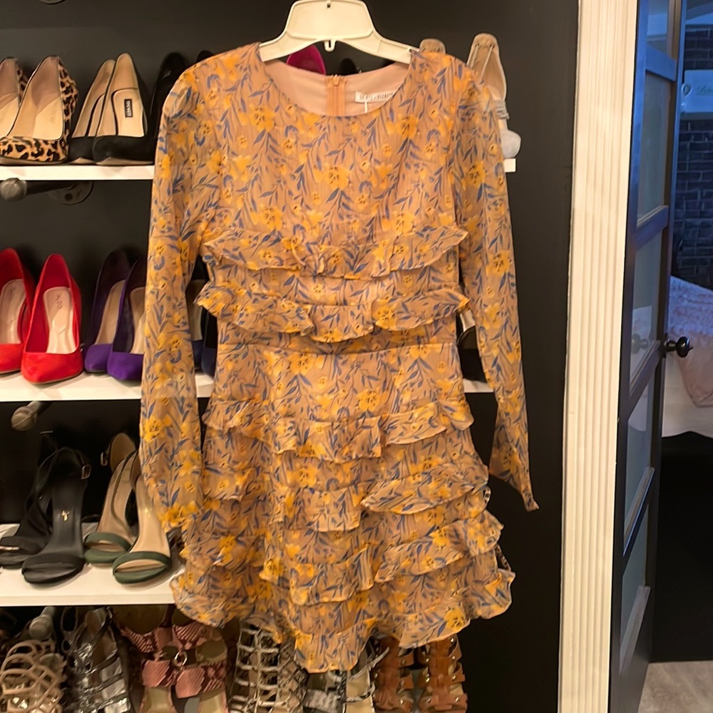 Sheer dress with ruffles. Yellow/mocha with blue/yellow flowers. Fully Lined.